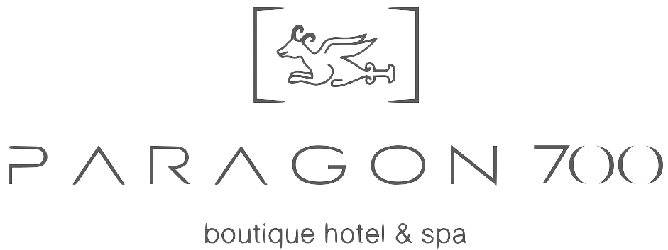 Hôtel Paragon700